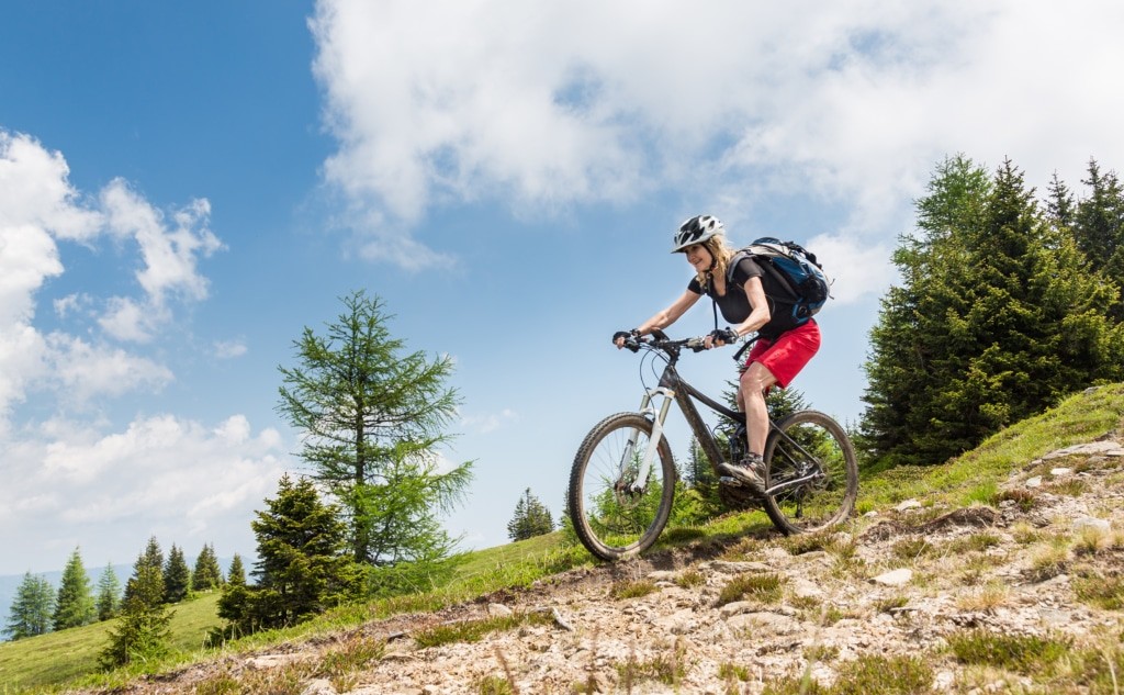 Enjoy the Carinthian Mountainbike Downhill, Austria !